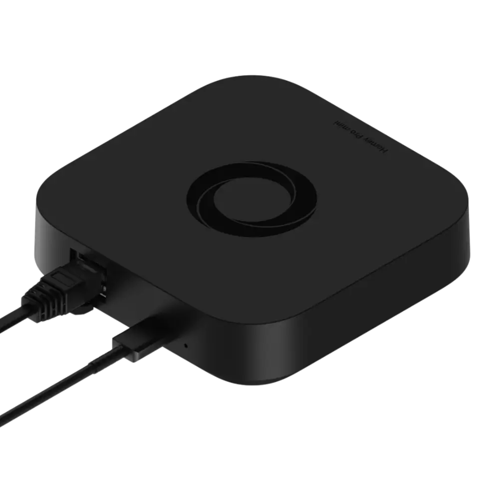 Homey Pro mini