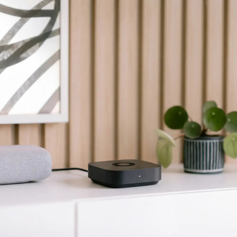 Homey Pro mini