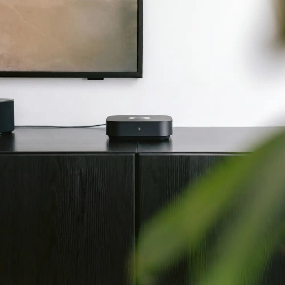 Homey Pro mini