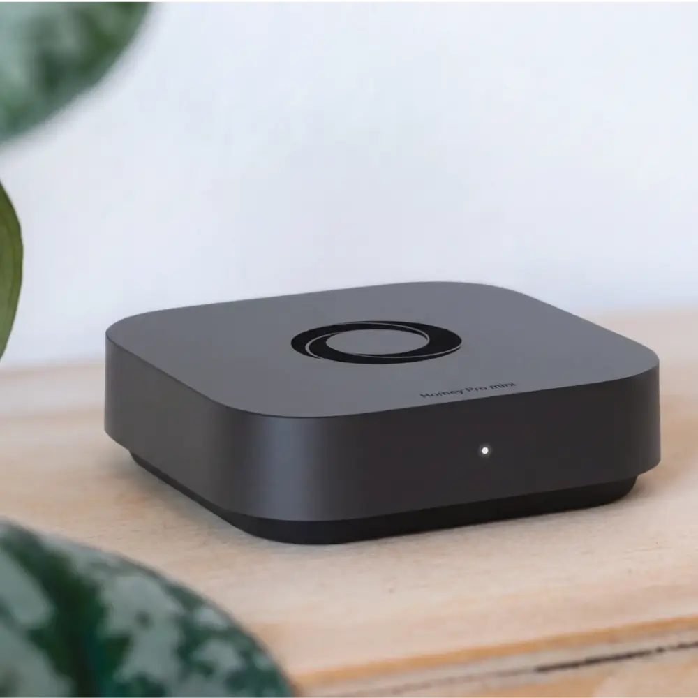 Homey Pro mini